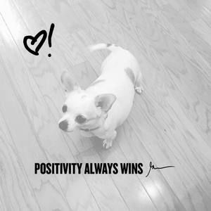 Meet your Posher, Yousuf